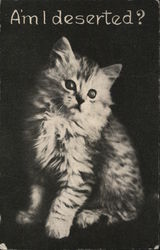 Am I deserted? - Kitten Postcard