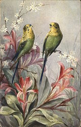 Two Parakeets Perched Atop Orange Lilies Two Parakeets Perched Atop Orange Lilies