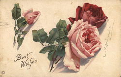 Best Wishes Postcard