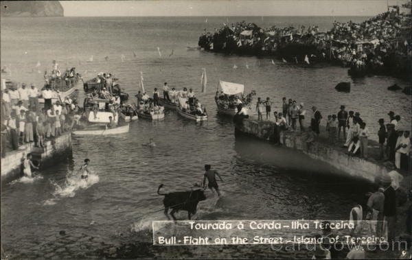 Bull Fight on the Street - Island of Terceira Portugal