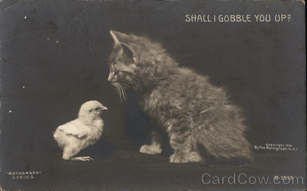 Shall I Gobble You Up? Cats