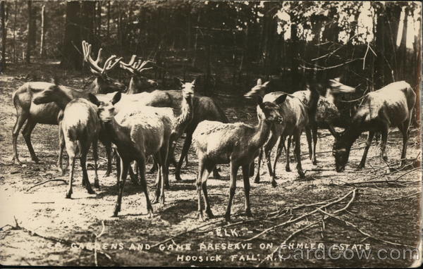 Ehmler Estate - Elk, Gardens and Game Reserve Hoosick Falls New York