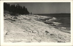 View of the Shore - Squirrel Island, Maine Postcard Postcard Postcard