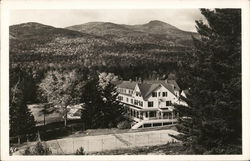 In the Heart of White Mountain National Forest Postcard