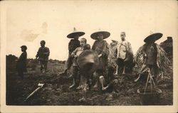 Chinese Peasant Farmers Postcard