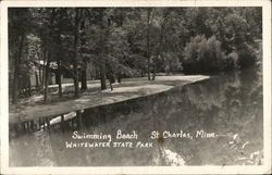 Swimming Beach St. Charles, Minn Whitewater State Park Minnesota Postcard Postcard Postcard
