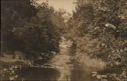 Outlet, Echo Lake, Tyson, VT Postcard