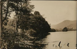 West Shore, Echo Lake Postcard