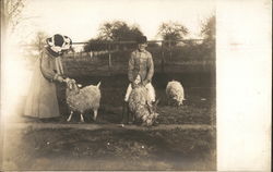People Tending Sheep Postcard