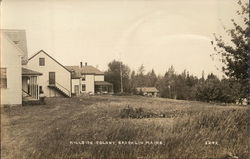 Hillside Colony, Brooklin, Maine Postcard