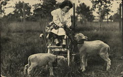 Girl in a Cart Feeding Lambs Sheep Postcard Postcard Postcard