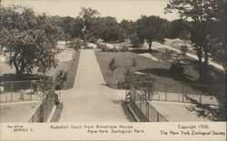 Looking Out on Audubon Court from Antelope House Postcard