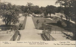 Looking Out on Audubon Court from Antelope House Bronx, NY Postcard Postcard Postcard