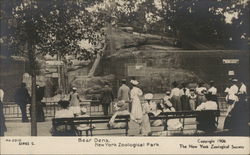 Bear Dens - New York Zoological Park Postcard