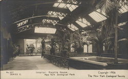 Reptile House - New York Zoological Park Postcard