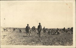 Soldiers Doing Drills Postcard