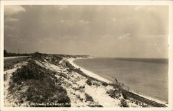 Cliffs Along Highway Between Milton and Pensacola, Fla. Postcard