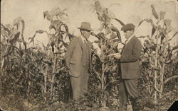 Men in a Cornfield Men in a Cornfield