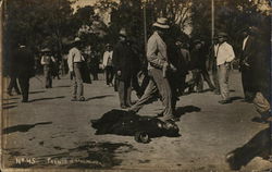 The front of the National Palace - the murder of the Pres. and Vice President Mexico City, Mexico Postcard Postcard Postcard