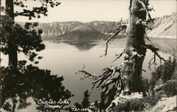 View at Crater Lake, Oregon Postcard