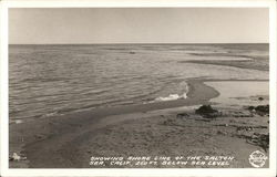 Showing shore line of the Salton Sea, Calif., 260 ft. below sea level Postcard