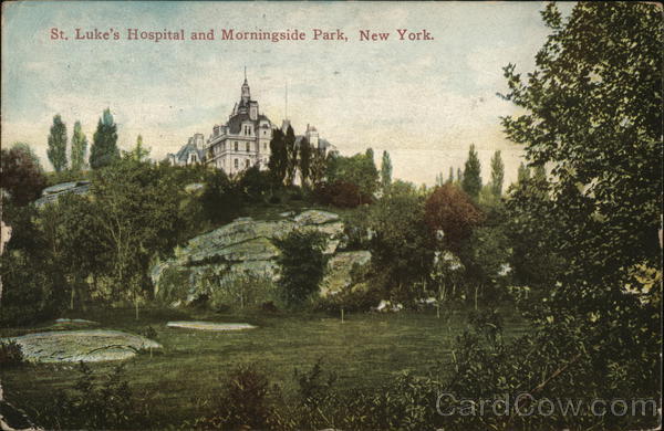 St. Luke's Hospital and Morningside Park New York