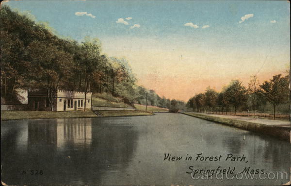 View in Forest Park Springfield Massachusetts