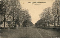 Galena Avenue, Looking North Wyoming, IL Postcard Postcard Postcard