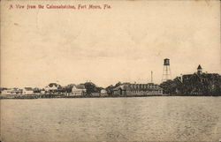 A View From the Caloosahatchee Postcard