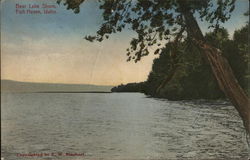 Bear Lake SHore Postcard