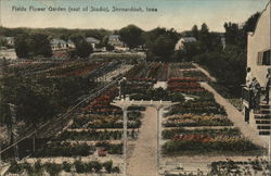 Fields Flower Garden (East of Studio) Postcard