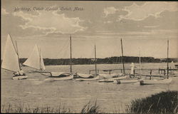Yachting, Cotuit Harbor Postcard