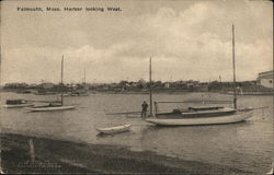 Harbor Looking West Falmouth, MA Postcard Postcard Postcard