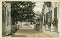 Academy Ave Nantucket, MA Postcard Postcard Postcard