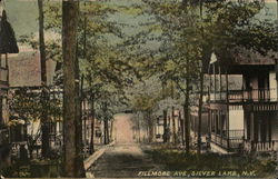 Fillmore Avenue Silver Lake, NY Postcard Postcard Postcard