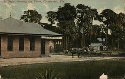 A Depot Among the Pines Postcard