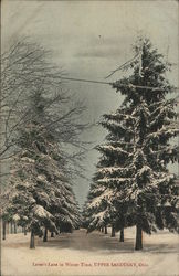 Lover's Lane in Winter Time Postcard