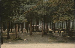 The Pines at Riverhurst Park The Pines at Riverhurst Park