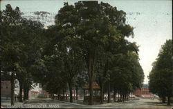 Town Commons Postcard