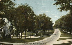Street View Williamstown, MA Postcard Postcard Postcard