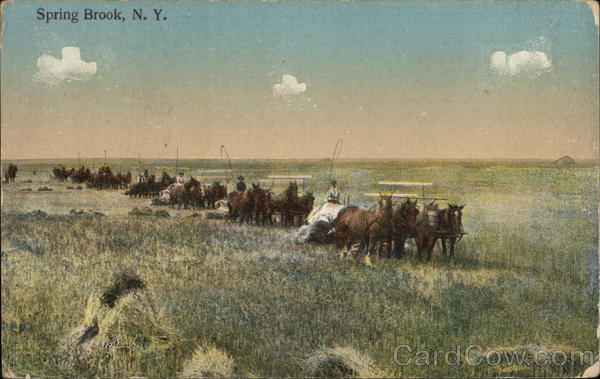 Teams of horses pulling wagons across a field Spring Brook New York