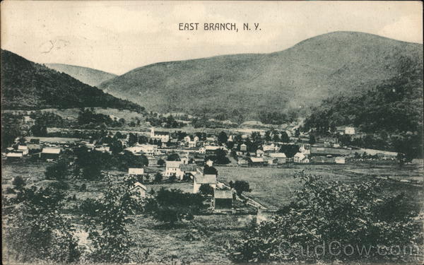A view of East Branch, N.Y. New York