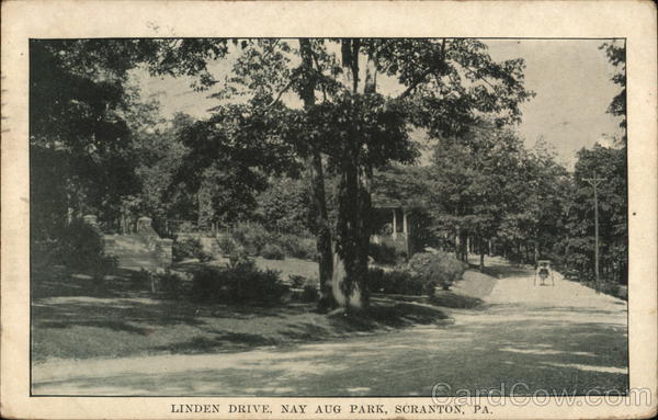 Linden Drive, NayAug Park Scranton Pennsylvania