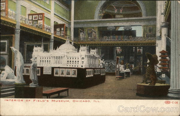 Interior of Field's Museum Chicago Illinois