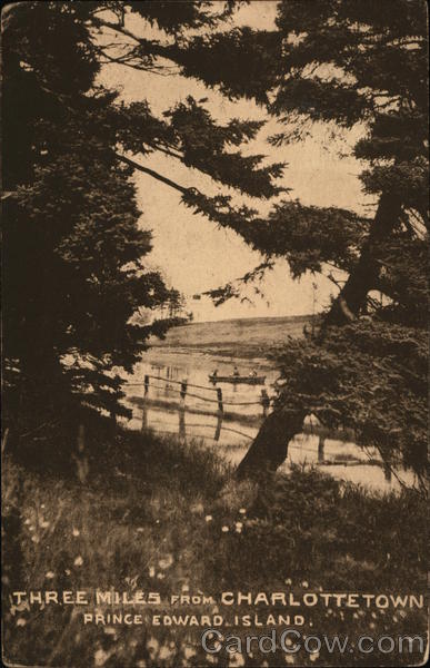 View of a fence, trees and field Charlottetown PE Canada