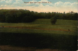 Beauty Spot Postcard