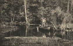 Person standing in a row boat in a tree-lined stream Postcard