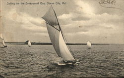 Sailing on the Synepuxent Bay Ocean City, MD Postcard Postcard Postcard