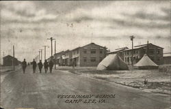 Veterinary School, Camp Lee Postcard