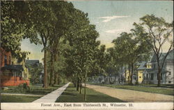 Forest Avenue East from Thirteenth Street Postcard